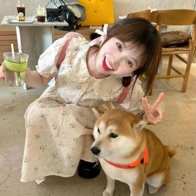 这个傻瓜